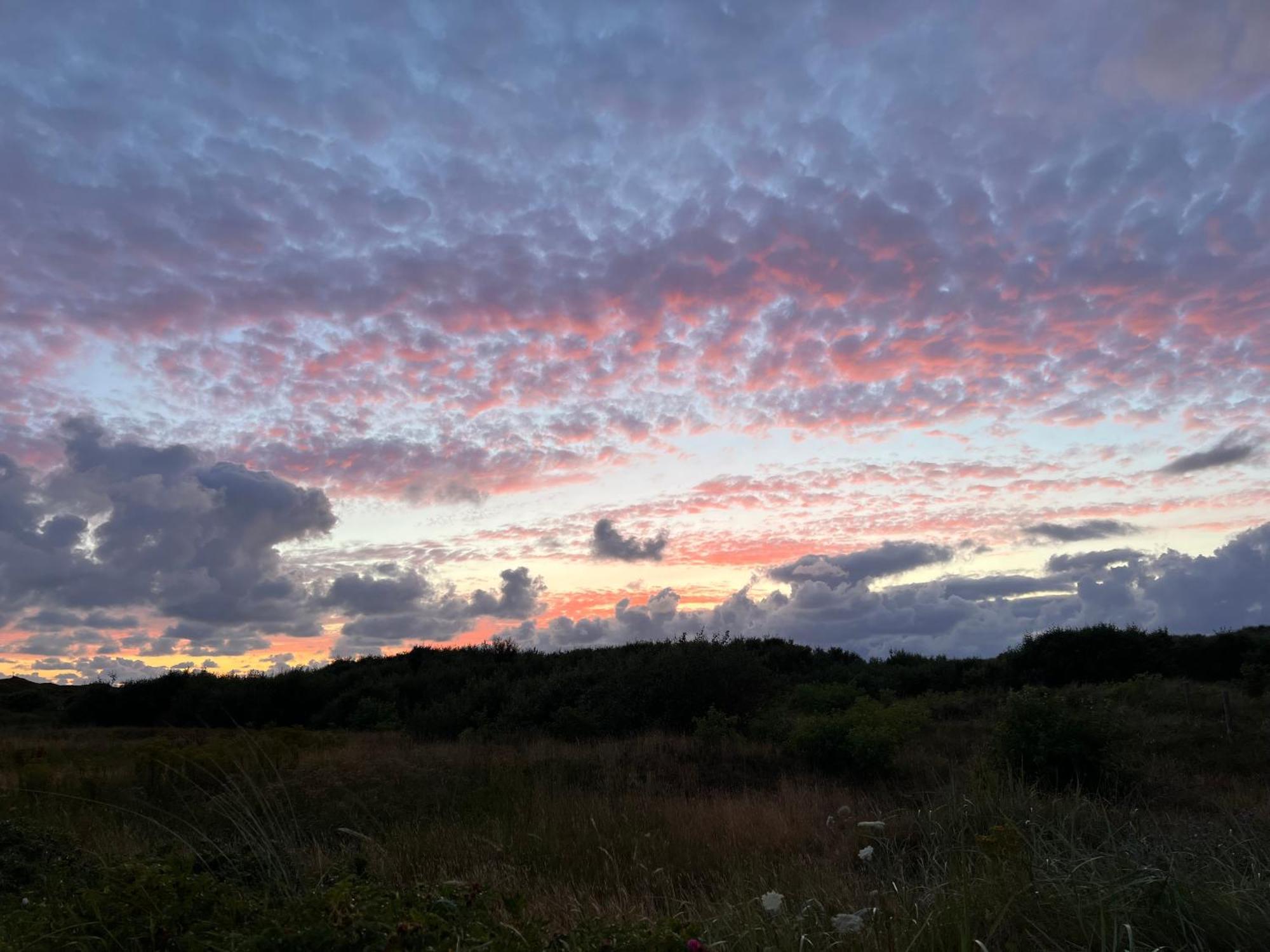B&B In De Duinen 德科赫 外观 照片
